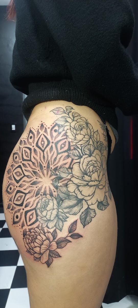 Crisp professional photograph of a finished phoenix tattoo on shoulder and forearm, intricate blackwork with delicate red ember ink accents, soft studio lighting, sharp detail, artistic dark backdrop